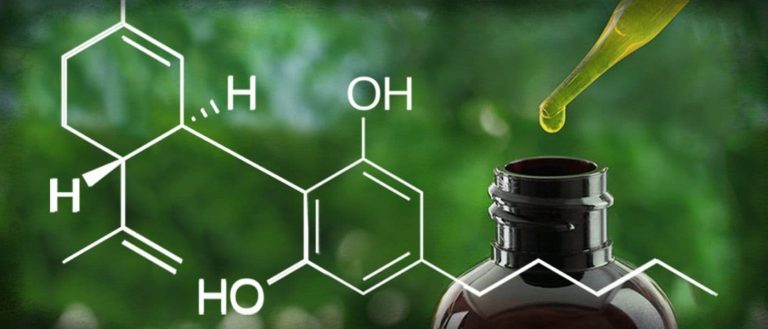 Endocannabinoids