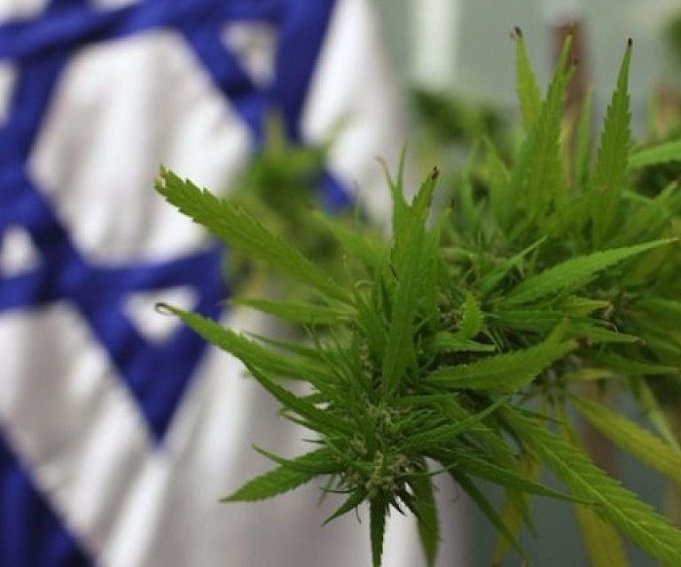 Israel Scientific Study: Cannabis Safe and Effective for Regular Use in the Elderly; Can Decrease the Use of Other Prescription Medicines, Including Opioids