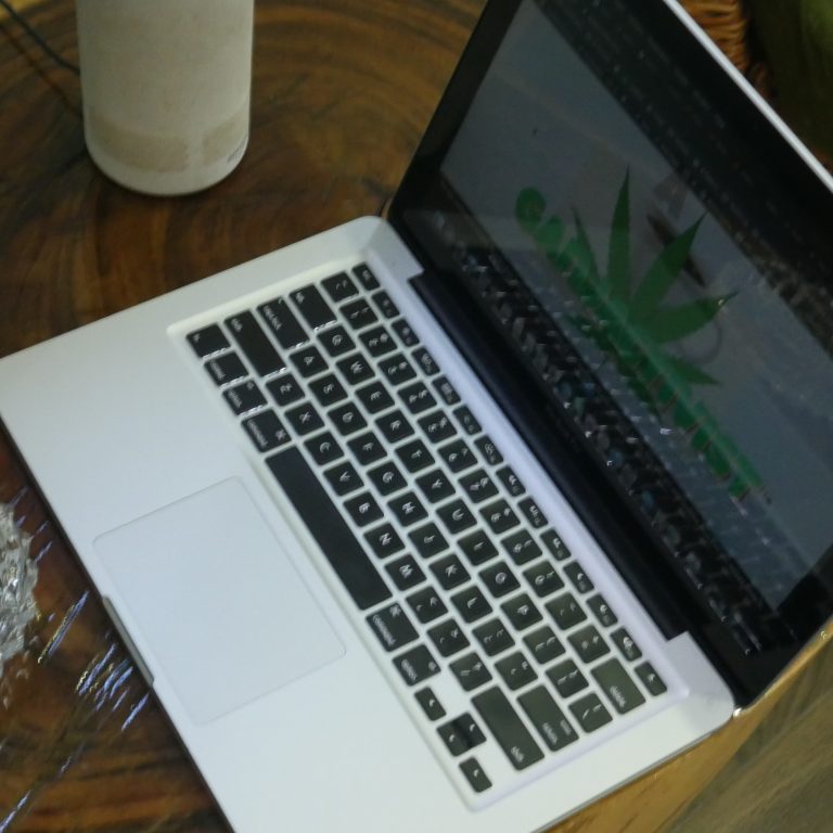 Ganjactivist.com Cannabis Conference & Expo Series- Bridging the Jamaican Divide