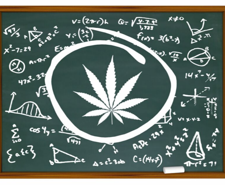 South Africa gets its first online cannabis university