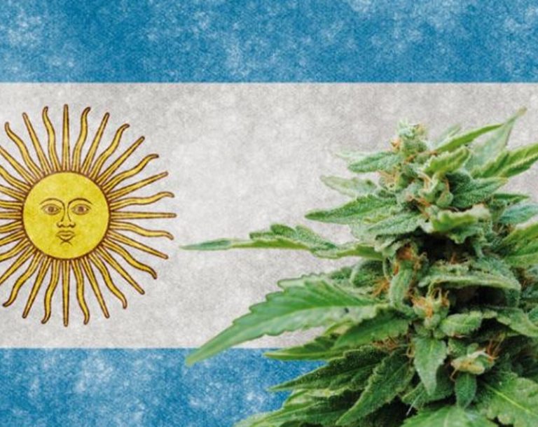 Adult-Use Cannabis Legalization Needs To Be Discussed, Says Argentina’s President Alberto Fernández