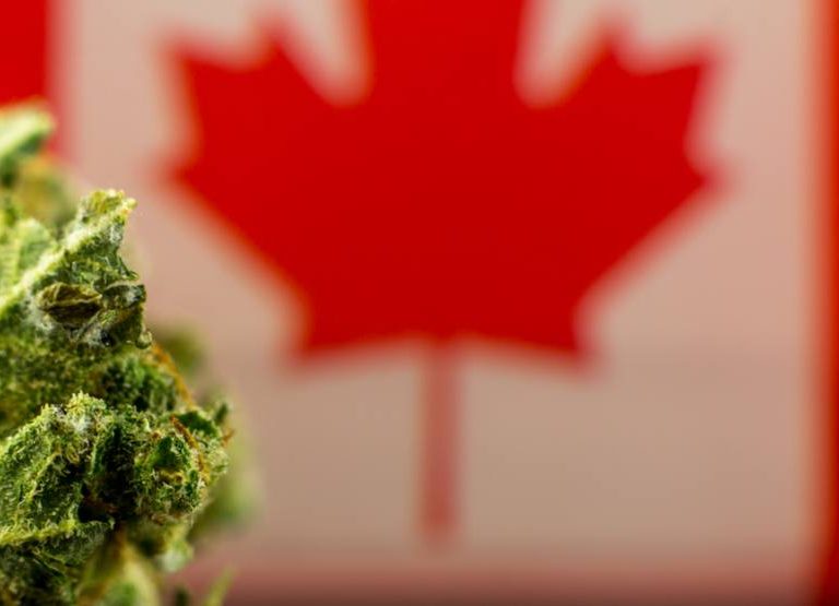 The AGCO (Canada) is now issuing 80 cannabis Retail Store Authorizations per month