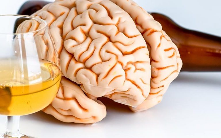 Twin Study: Alcohol Use, But Not Cannabis Use, During Young Adulthood Linked with Reductions in Cortical Thickness