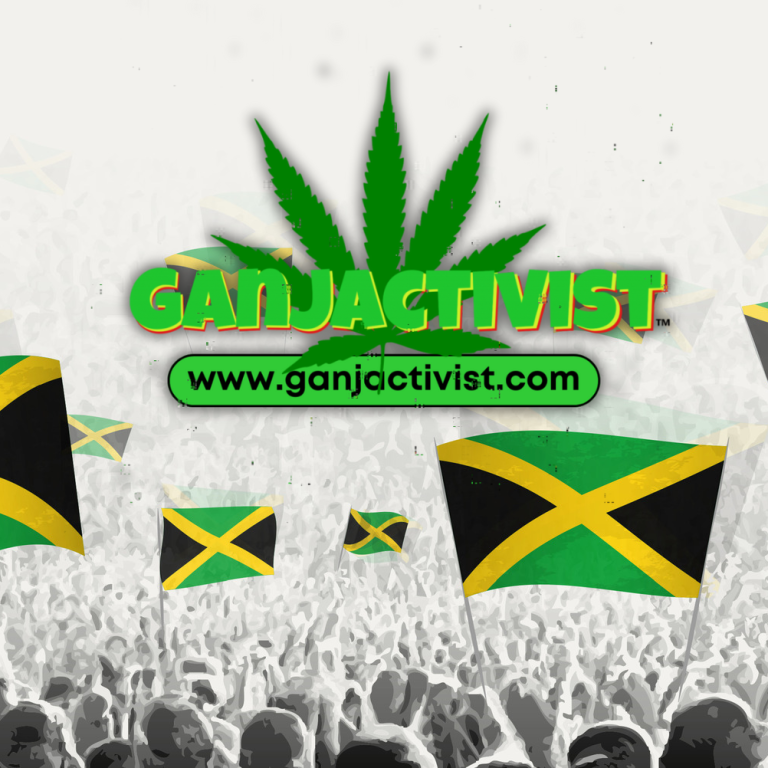 Ganjactivist.com launches Build Back Jamaica campaign.