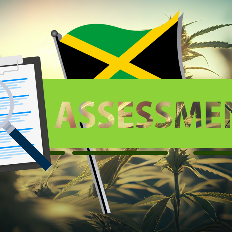 Jamaica’s Cannabis Industry: What Operators Actually Need Right Now.