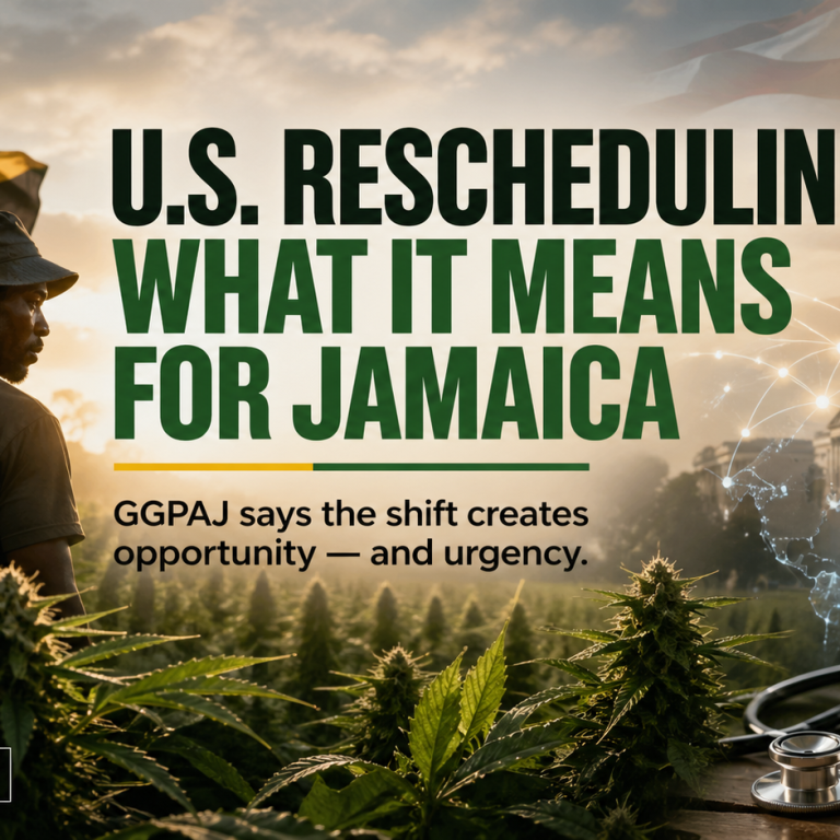 Jamaica’s Ganja Industry Just Got a Global Warning Shot
