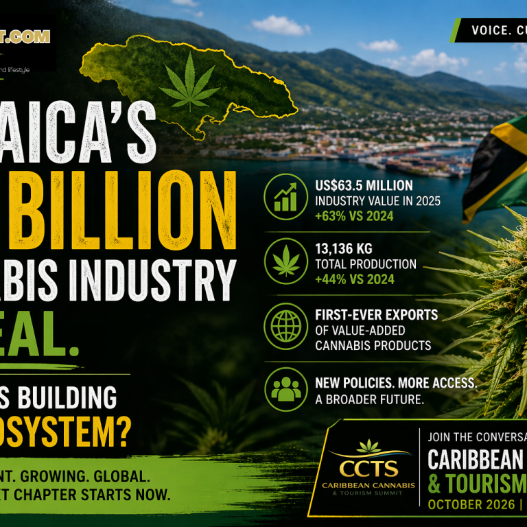 Jamaica’s $10B Cannabis Industry Is Real — But Who’s Building the Ecosystem?