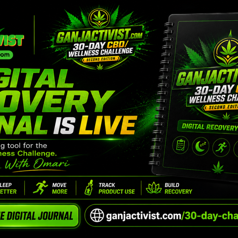 The 30 Day Challenge Digital Recovery Journal Is Live